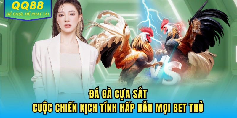 Đá gà cựa sắt QQ88
