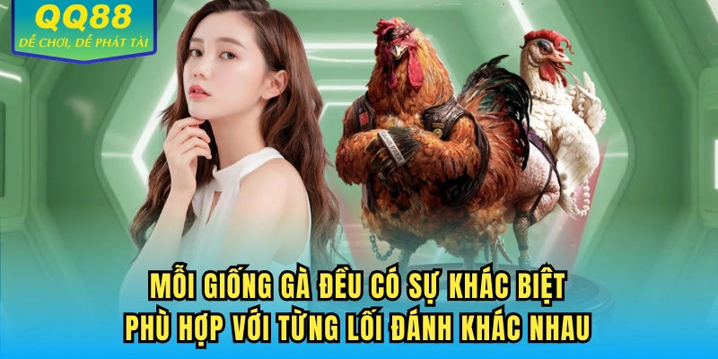 Mỗi giống gà đều có sự khác biệt, phù hợp với từng lối đánh khác nhau