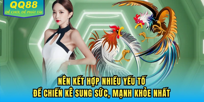 Nên kết hợp nhiều yếu tố để chiến kê sung sức, mạnh khỏe nhất