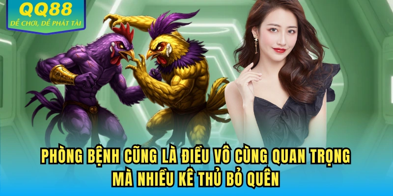 Phòng bệnh cũng là điều vô cùng quan trọng mà nhiều kê thủ bỏ quên